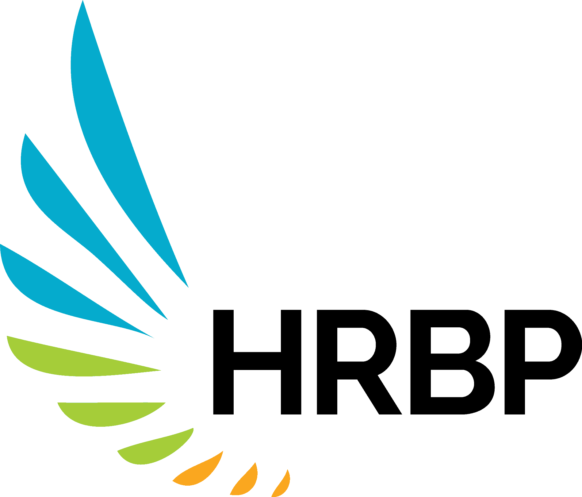 Hr партнер. HR BP. HR BP картинка. HRBP кто это.